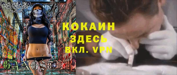мяу мяу мука Аркадак
