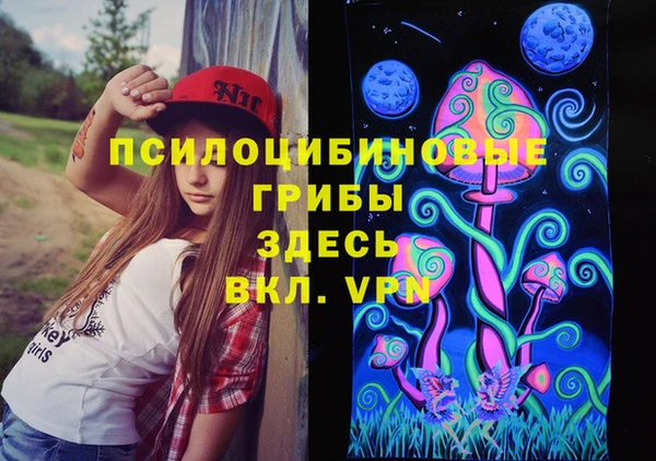 мяу мяу мука Аркадак